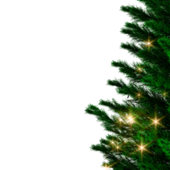 Umetno božično drevo RUDOLPH s lučkami, 150cm, zeleno