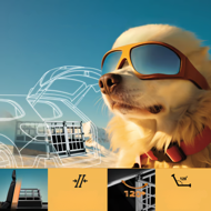 Transportni boks za psa BRUNO, 89x70x51cm, srebrna/črna