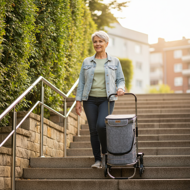 Nakupovalna torba na kolesih za stopnice COMFORT, 50l, siva