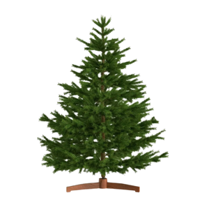 Umetno božično drevo FROST, 150cm, zeleno